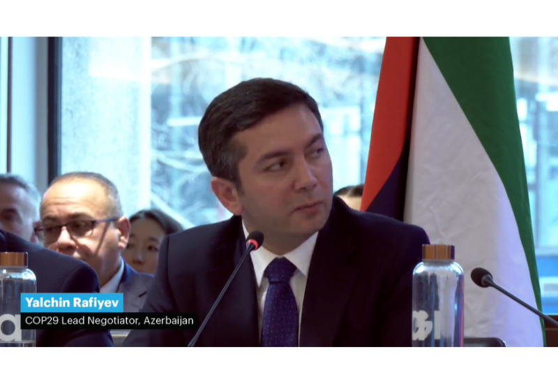 Названа одна из ключевых тем на COP29