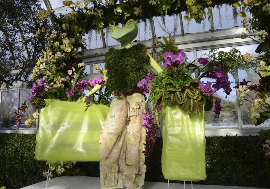 Выставка «Шоу орхидей: цветы в моде» открылась в зимнем саду Нью-Йоркского ботанического сада