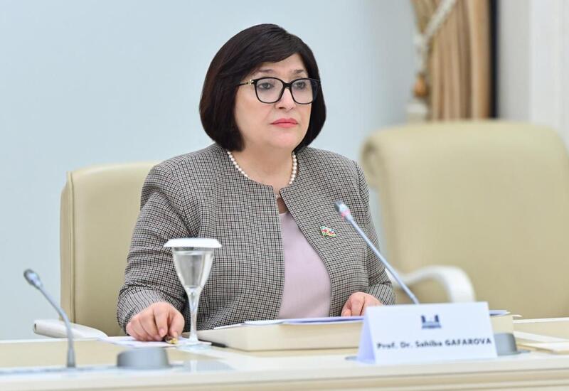 Сахиба Гафарова об итогах Мюнхенской конференции для Азербайджана
