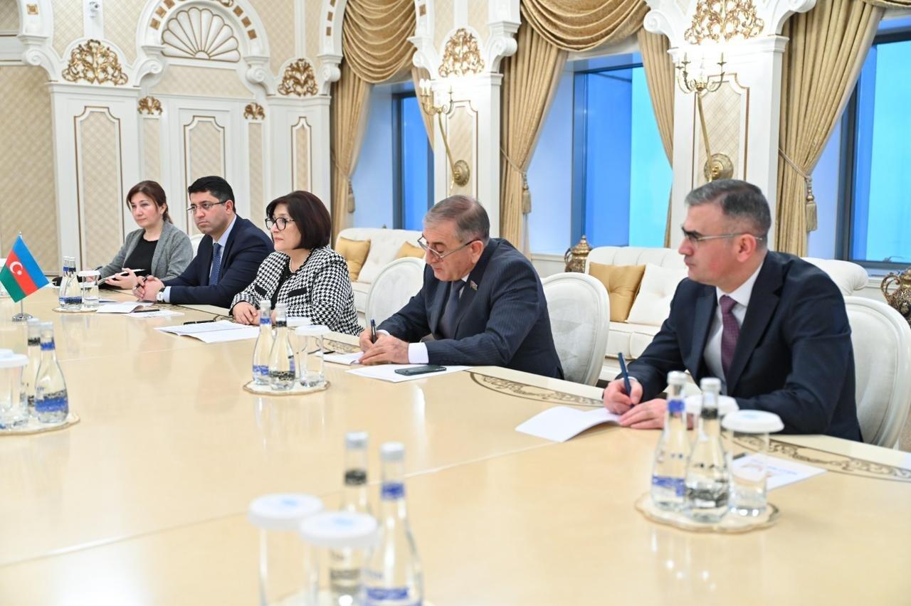 Sahibə Qafarova Qətər Dövlətinin Şura Məclisinin sədr müavini ilə görüşüb