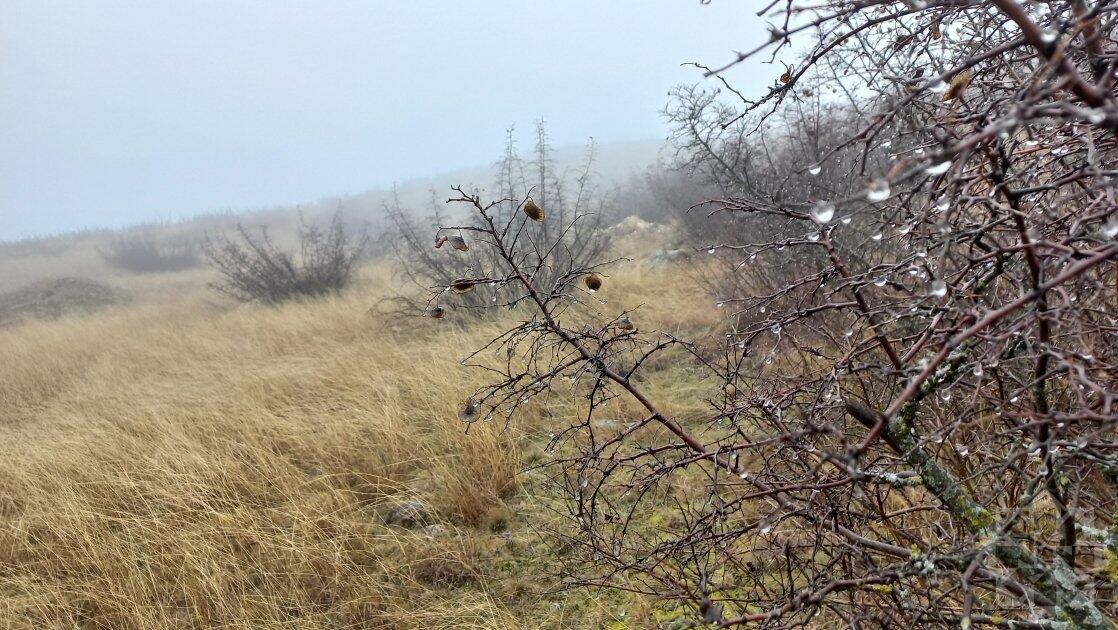 Гарагая – место совершения массовой резни - свидетели Ходжалинского геноцида рассказывают о трагедии на месте происшествия