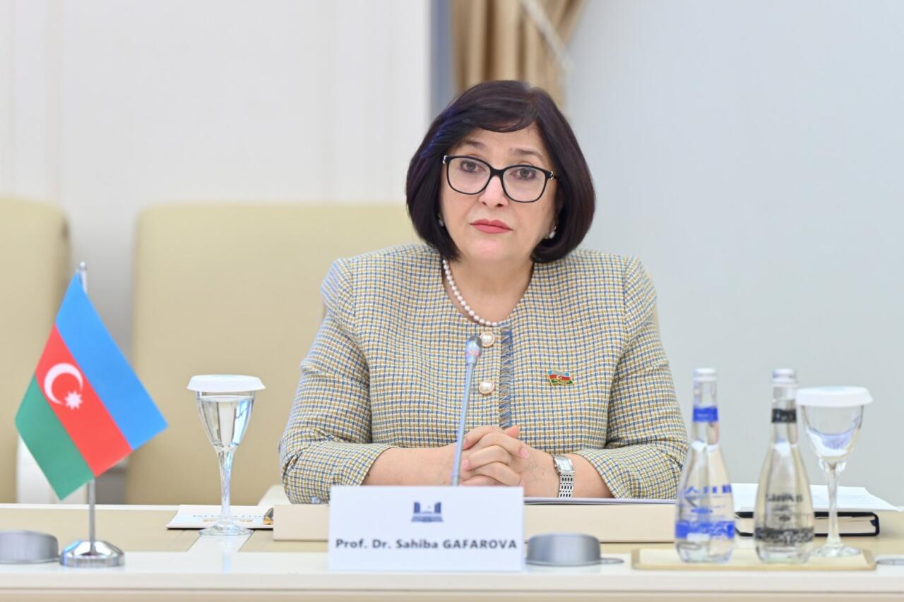 Sahibə Qafarova Bundestaqın komitəsi sədri ilə görüşüb
