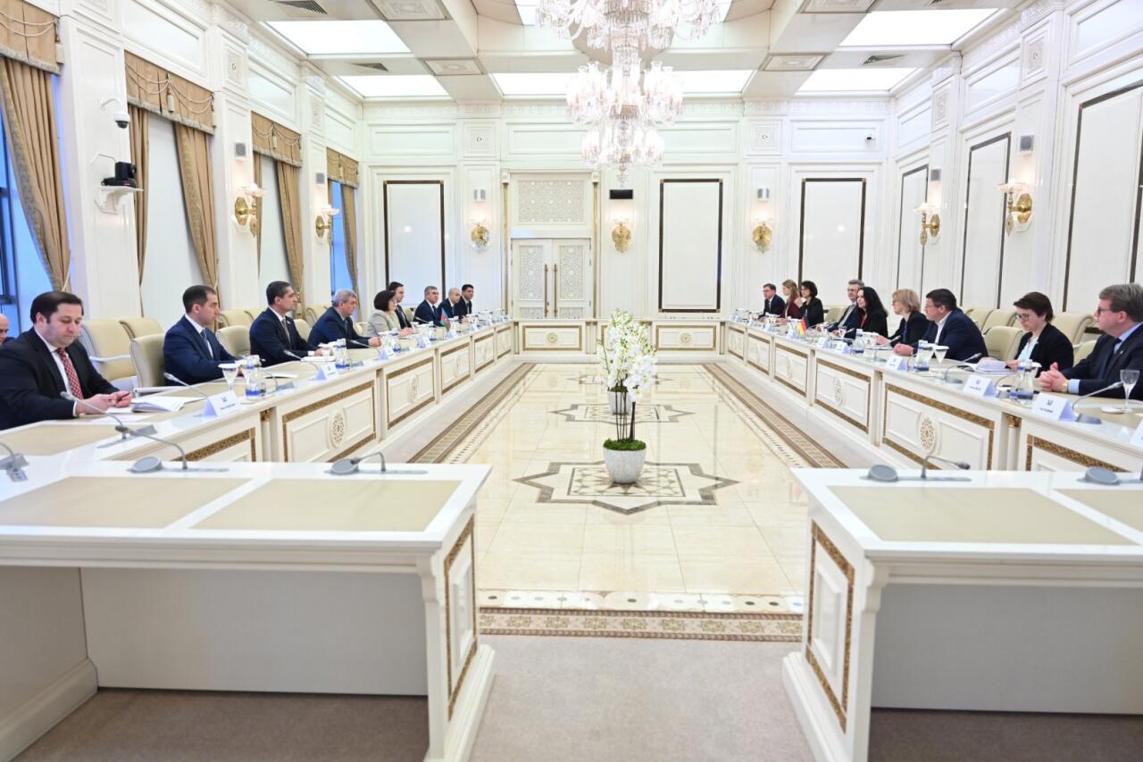 Sahibə Qafarova Bundestaqın komitəsi sədri ilə görüşüb