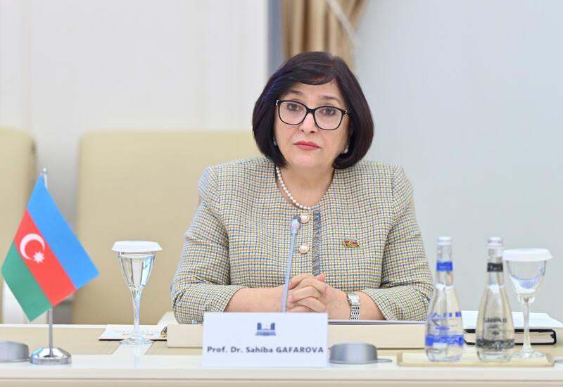 Sahibə Qafarova Bundestaqın komitəsi sədri ilə görüşüb