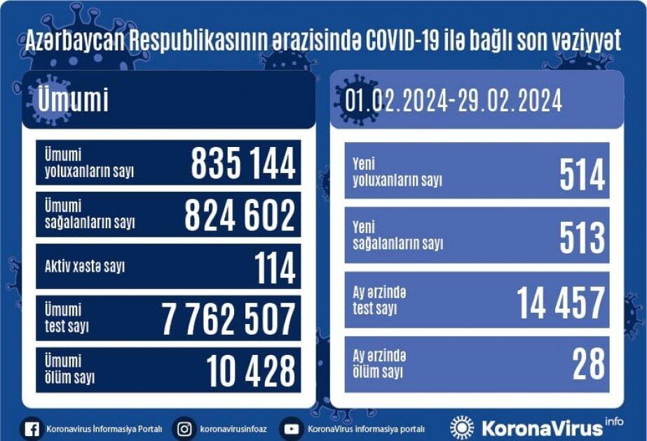Azərbaycanda bir ayda 514 nəfər COVID-19-a yoluxub