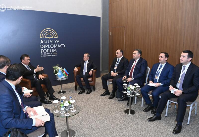 Türk Dövlətləri Təşkilatı türk dünyasında ciddi potensiala malikdir