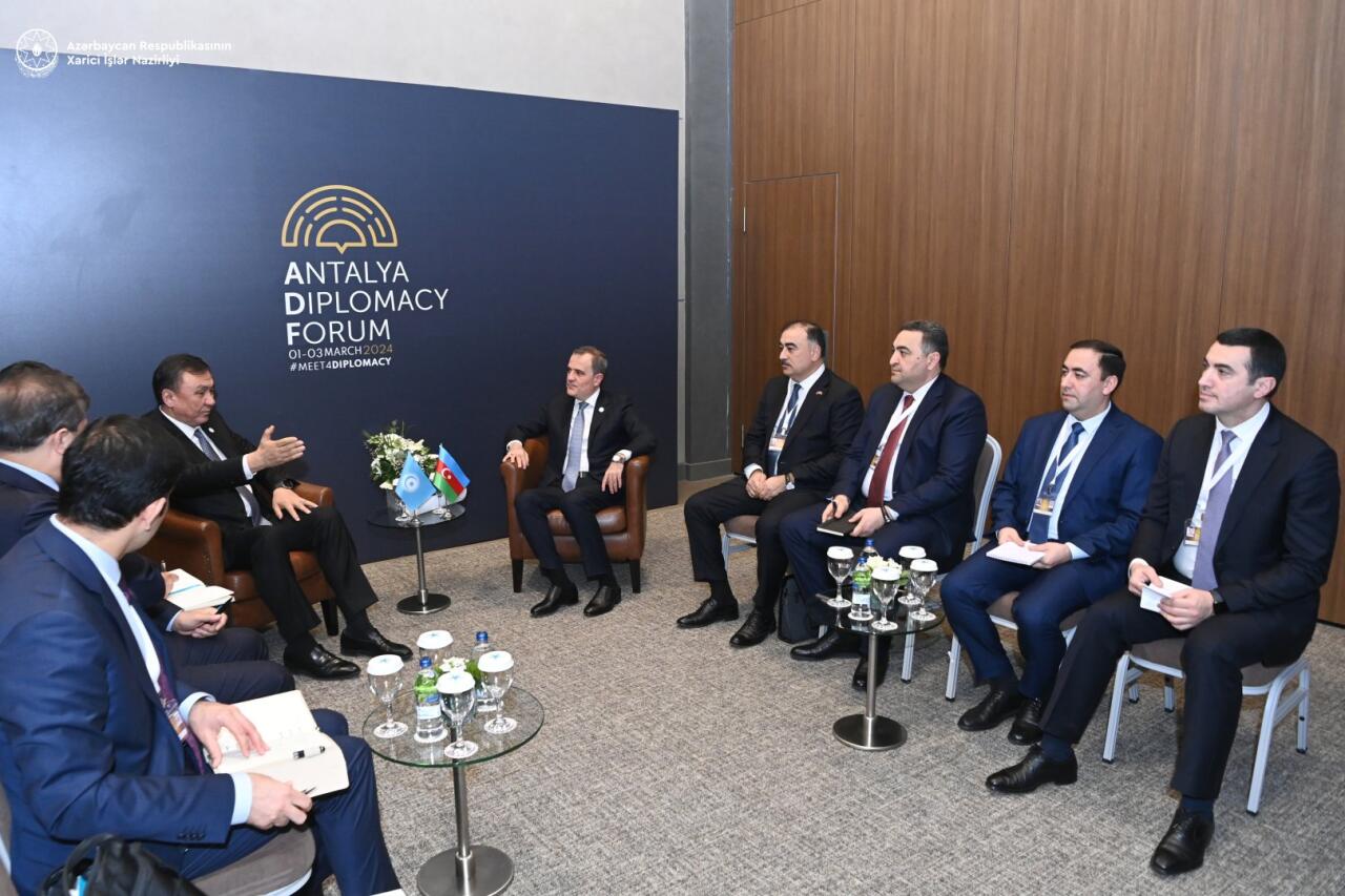 Türk Dövlətləri Təşkilatı türk dünyasında ciddi potensiala malikdir