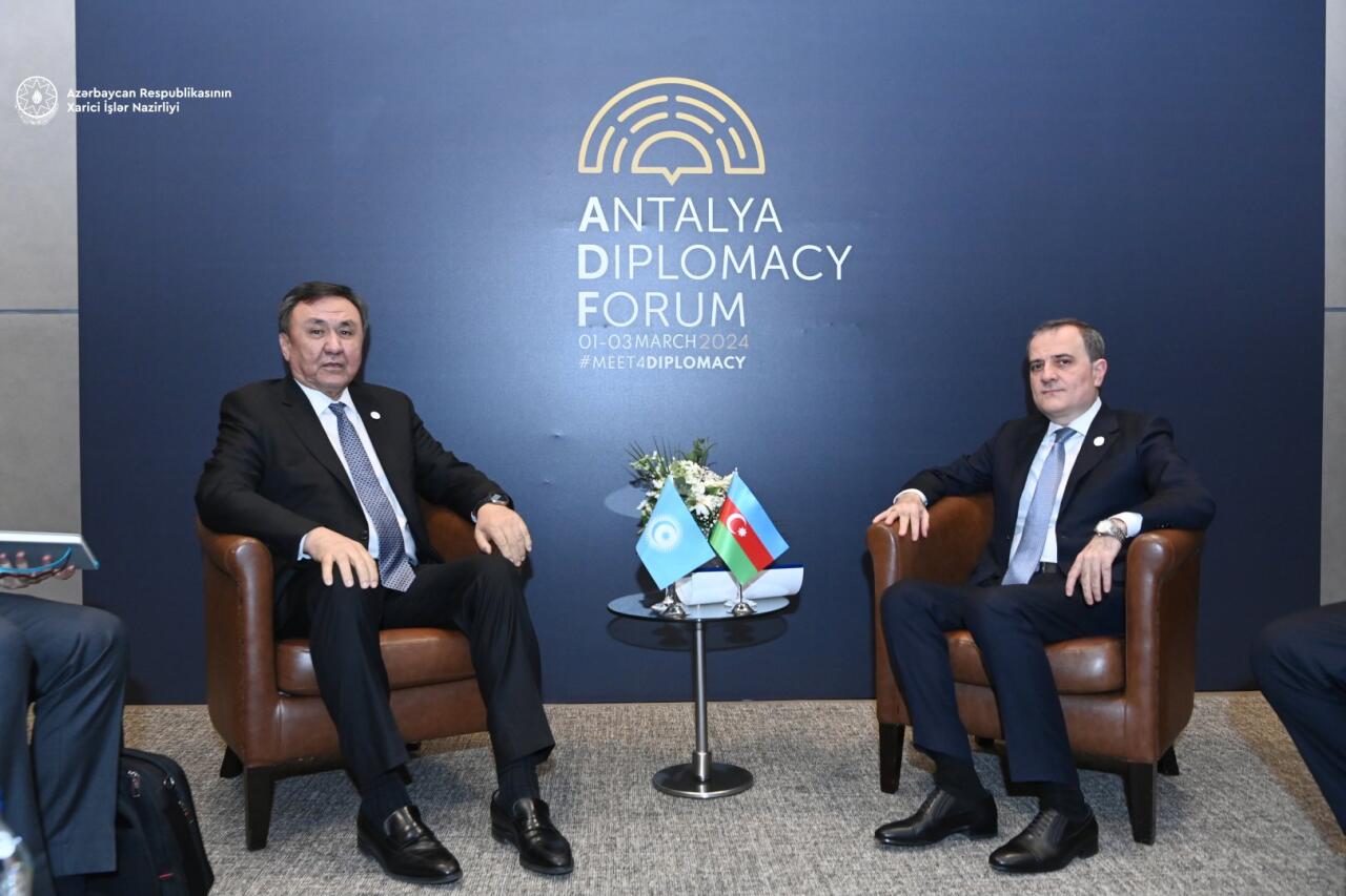 Türk Dövlətləri Təşkilatı türk dünyasında ciddi potensiala malikdir