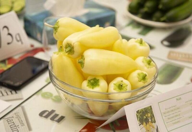 Xəstələnməmək üçün hər gün bolqar bibəri yeyin!