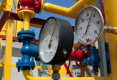 Азербайджанский газ добрался до Хорватии