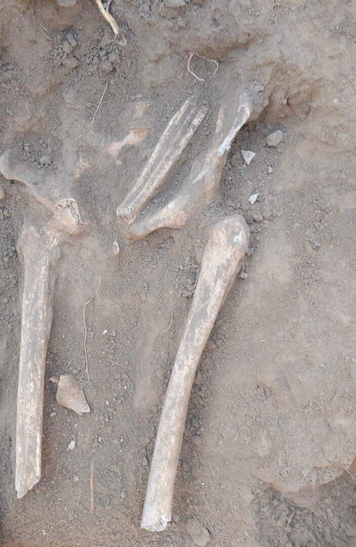 В Ходжалы обнаружены человеческие останки