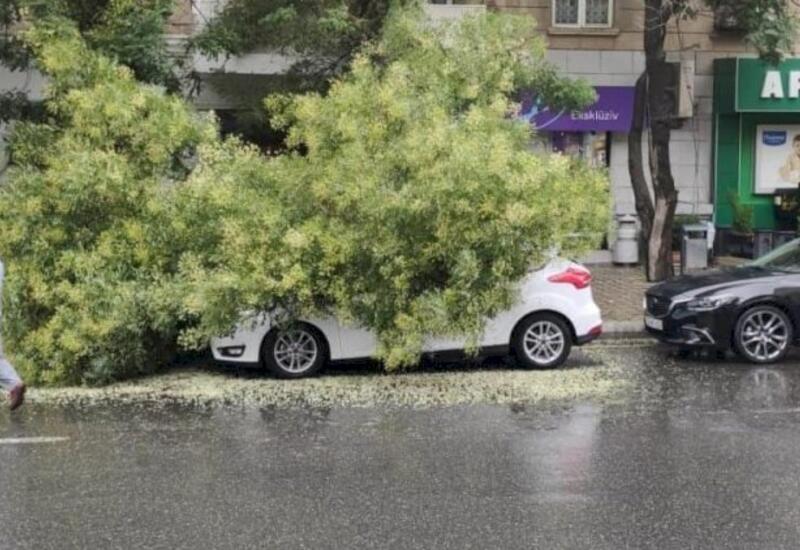 Külək daha da şiddətləndi