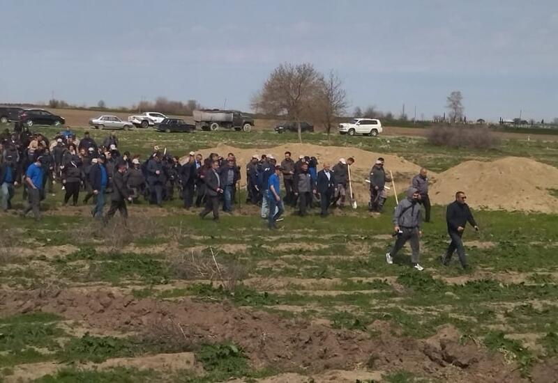 Акция по посадке деревьев в честь Дня просвещения о минах в Карабахе