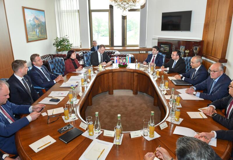 Azərbaycan və Slovakiya enerji layihələrini müzakirə ediblər