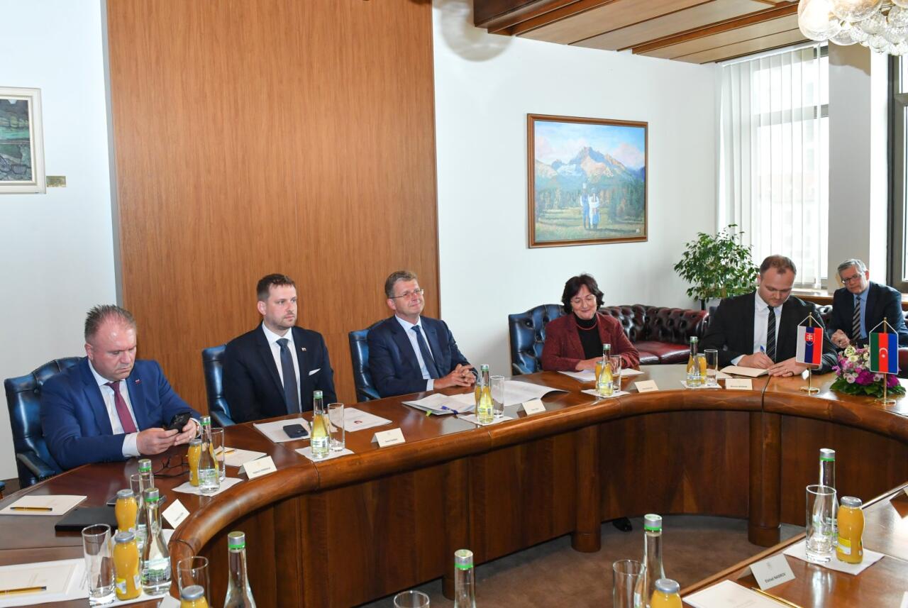 Azərbaycan və Slovakiya enerji layihələrini müzakirə ediblər