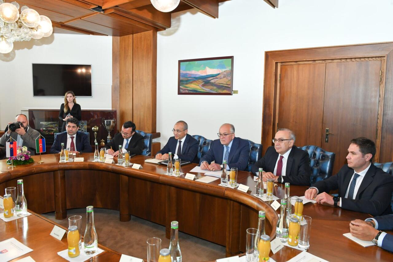 Azərbaycan və Slovakiya enerji layihələrini müzakirə ediblər