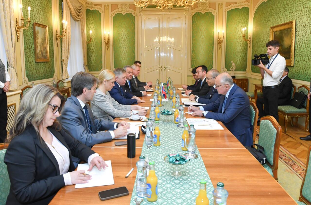 Azərbaycan və Slovakiya enerji layihələrini müzakirə ediblər