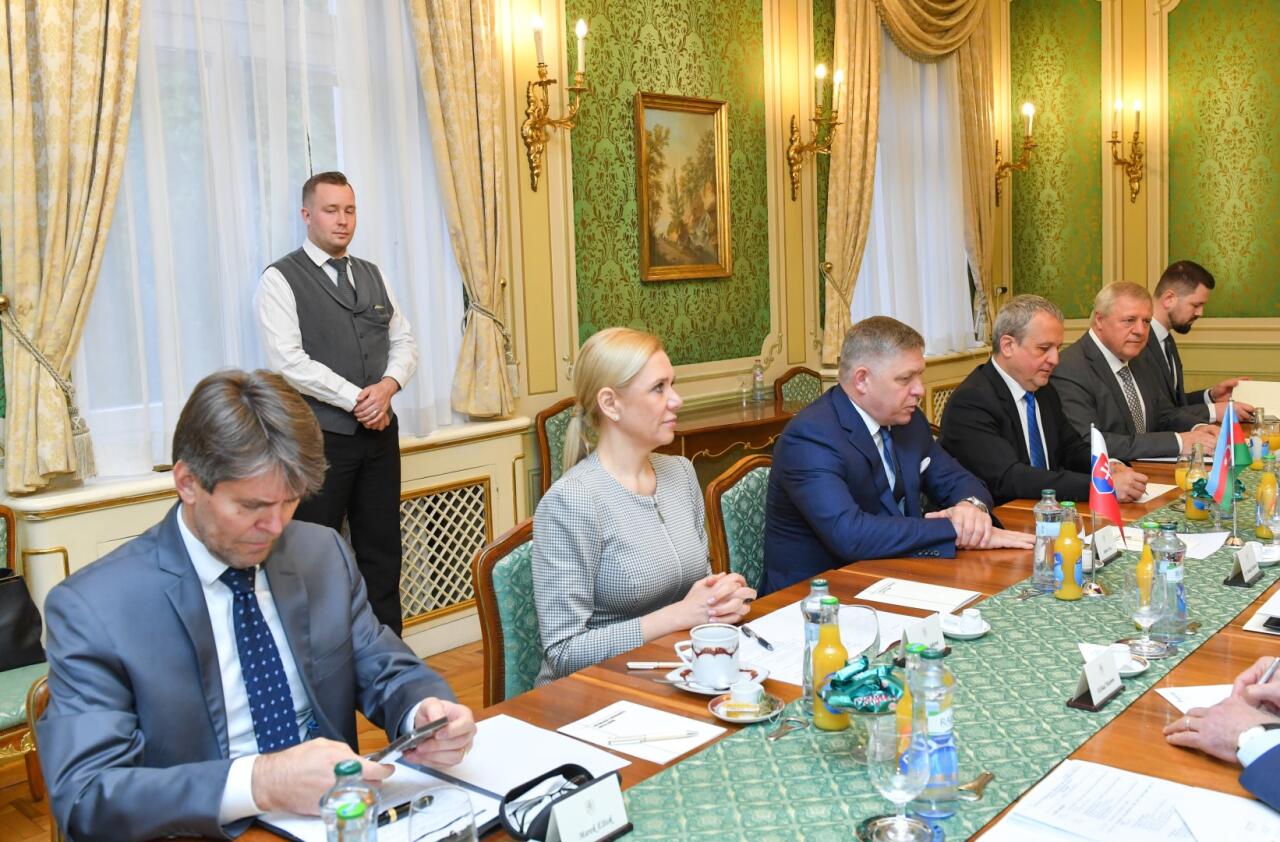 Azərbaycan və Slovakiya enerji layihələrini müzakirə ediblər