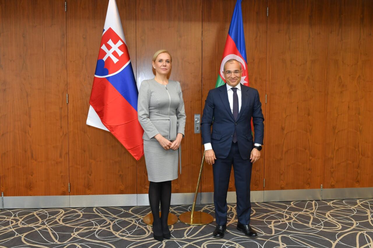 Azərbaycan və Slovakiya enerji layihələrini müzakirə ediblər