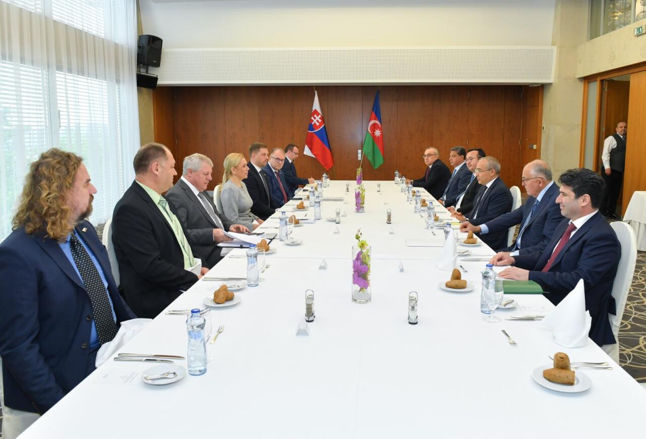 Azərbaycan və Slovakiya enerji layihələrini müzakirə ediblər