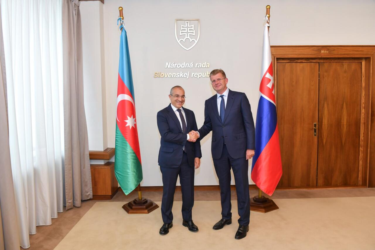 Azərbaycan və Slovakiya enerji layihələrini müzakirə ediblər