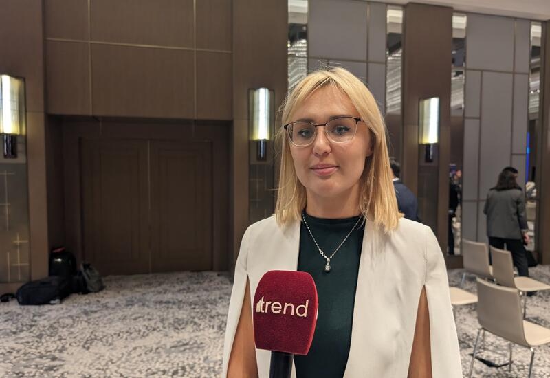 Названы цель и подробности деятельности идентификационного фонда в Азербайджане