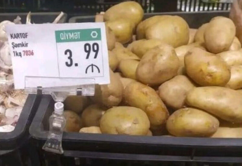 Şəmkir kartofu bazarlarda niyə baha satılır?