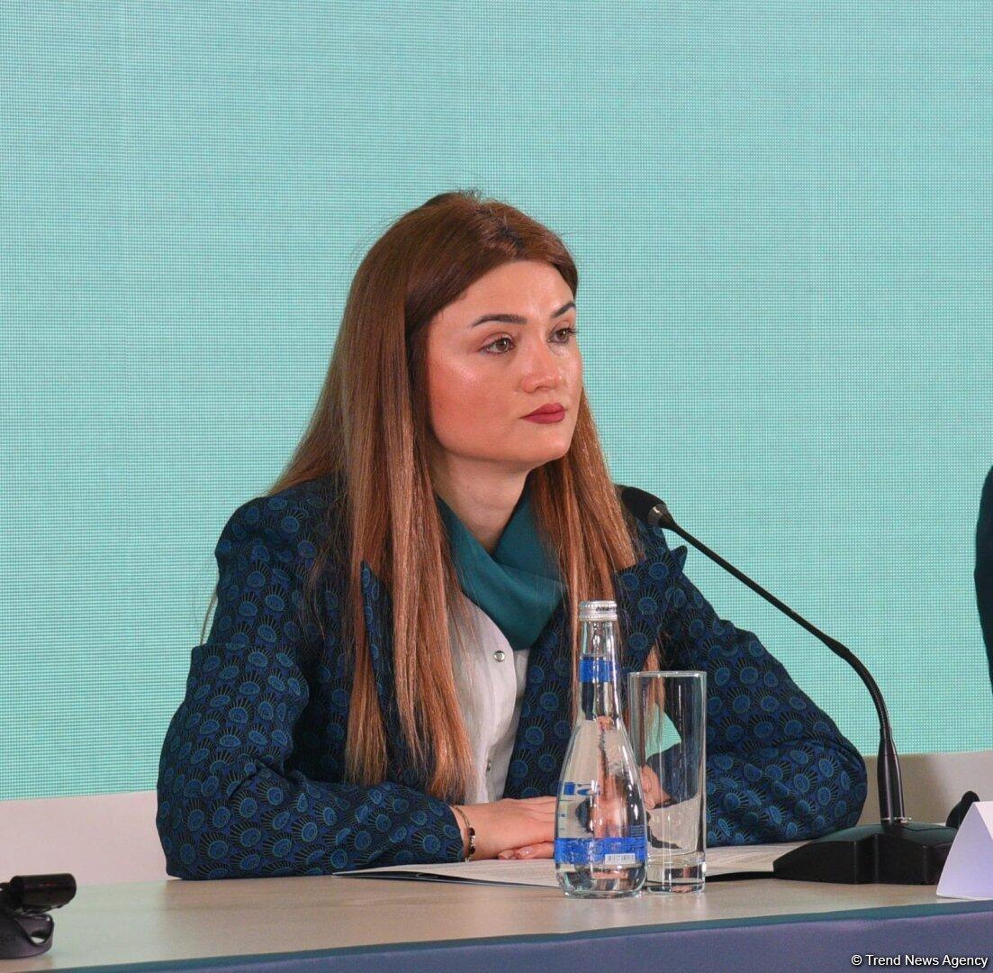 В Баку состоялась пресс-конференция по COP29