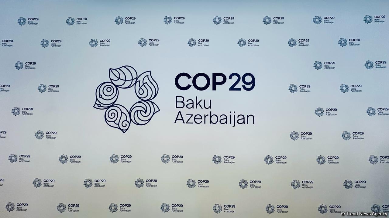 Представлен логотип COP29