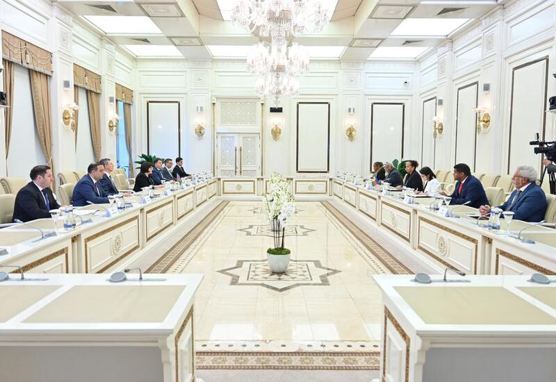 Франция проводит политику, направленную на подрыв стабильности на Южном Кавказе