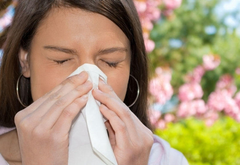 Allergiya xəstələri çiçəkləmə mövsümündə nə etməlidir?