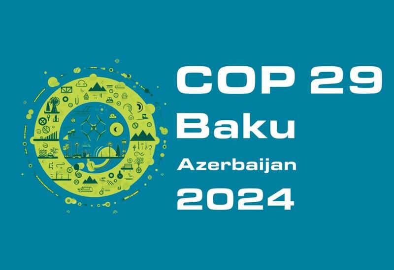 В Азербайджане будут применяться налоговые льготы в связи с COP29