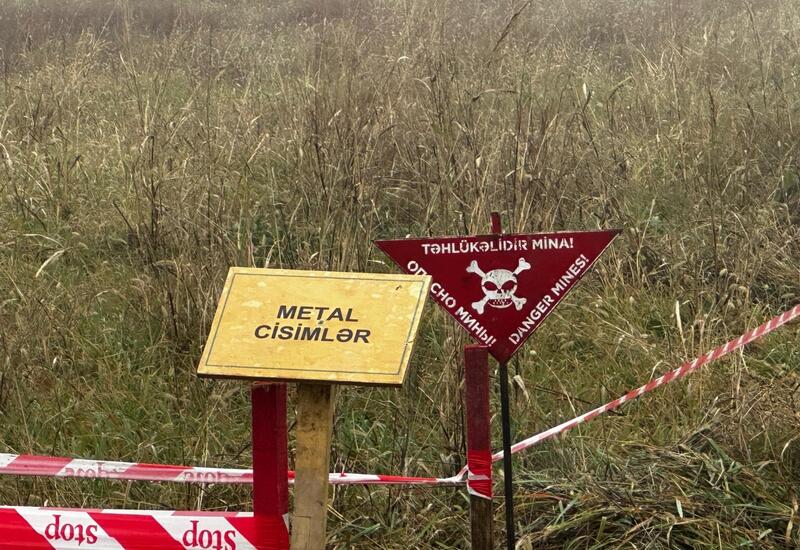 Названо количество обезвреженных за неделю мин на освобожденных территориях