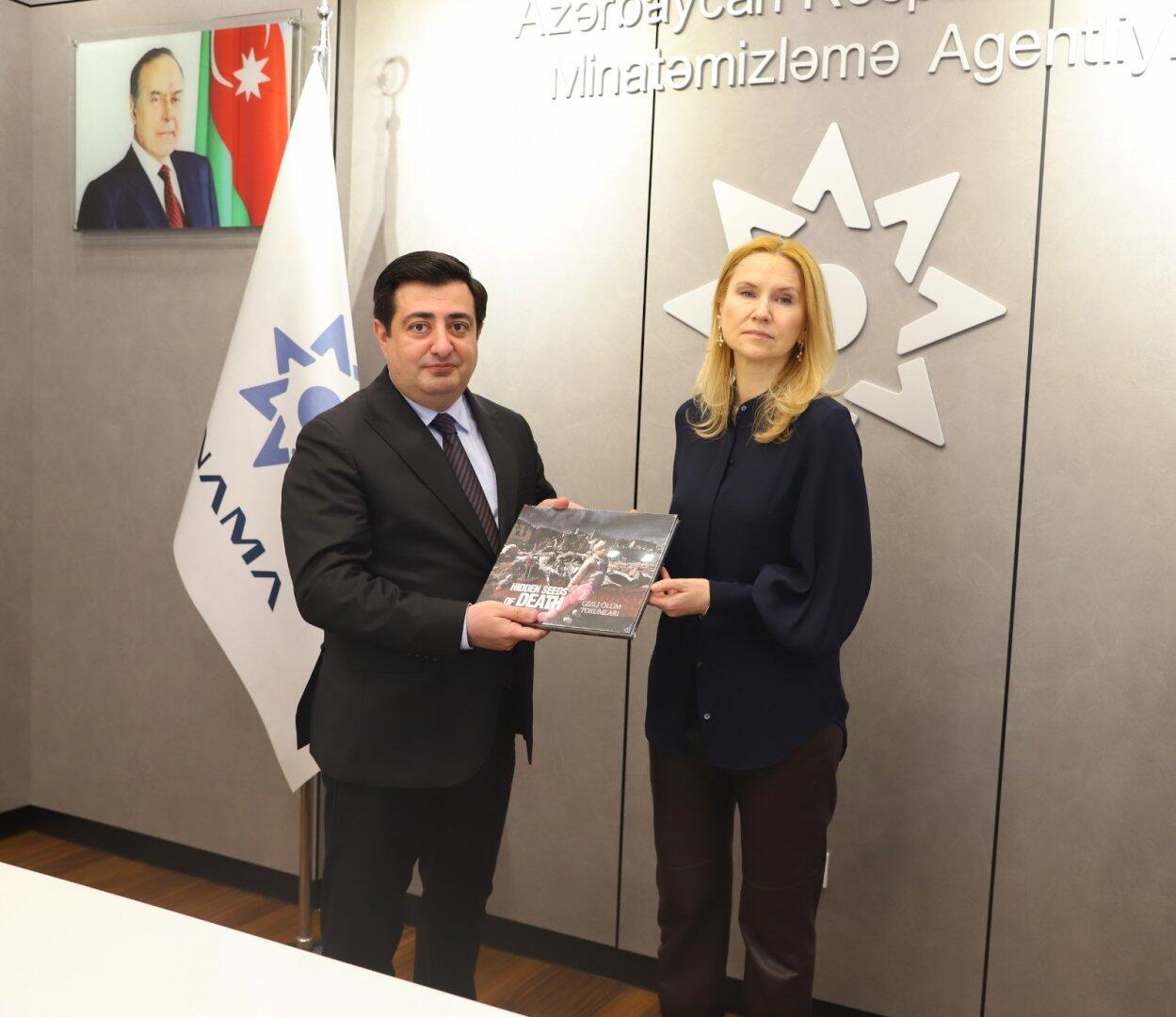 Киев хочет сотрудничать с Баку в сфере гуманитарного разминирования