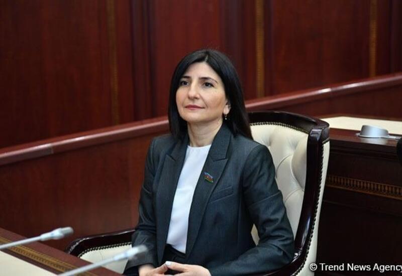 Qazaxın dörd qeyri-anklav kəndinin azad olunması Prezident İlham Əliyevin güclü iradəsinin və qətiyyətinin göstəricisidir
