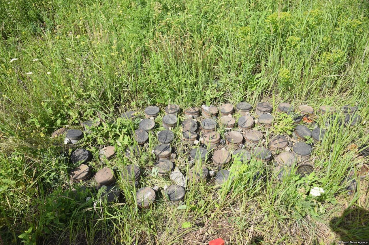 В освобожденном от оккупации селе Газахского района проводятся работы по разминированию