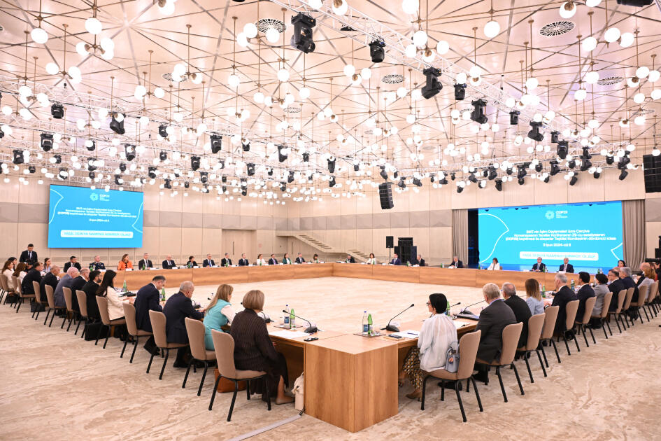 Состоялось четвертое заседание Оргкомитета в связи с COP29