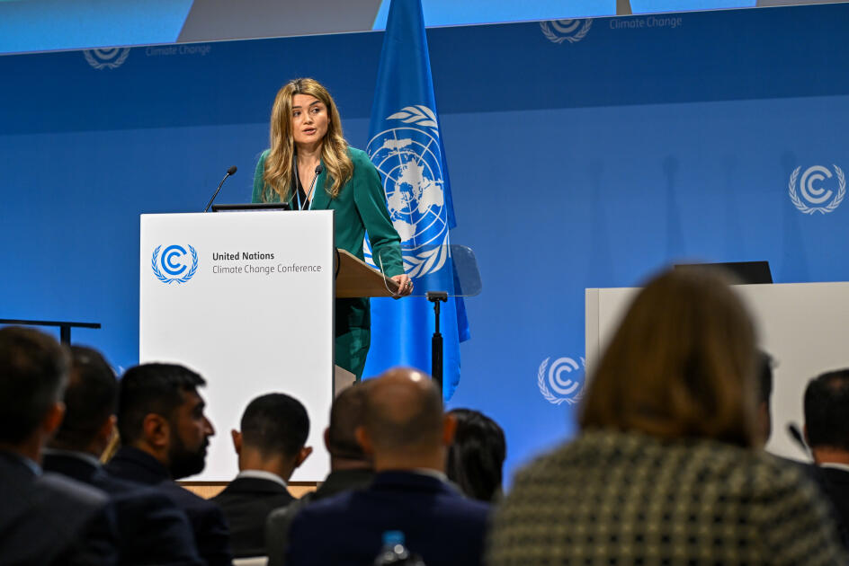 В Бонне представлена презентация по подготовке к COP29