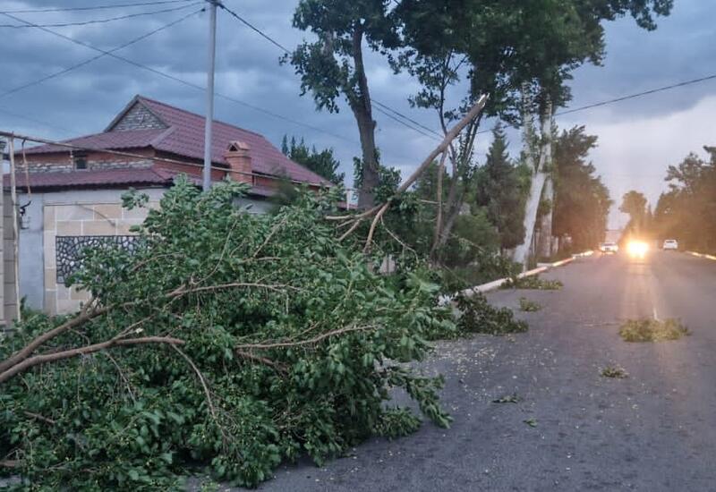 Güclü külək elektrik enerjisi təsərrüfatlarına ziyan vurub