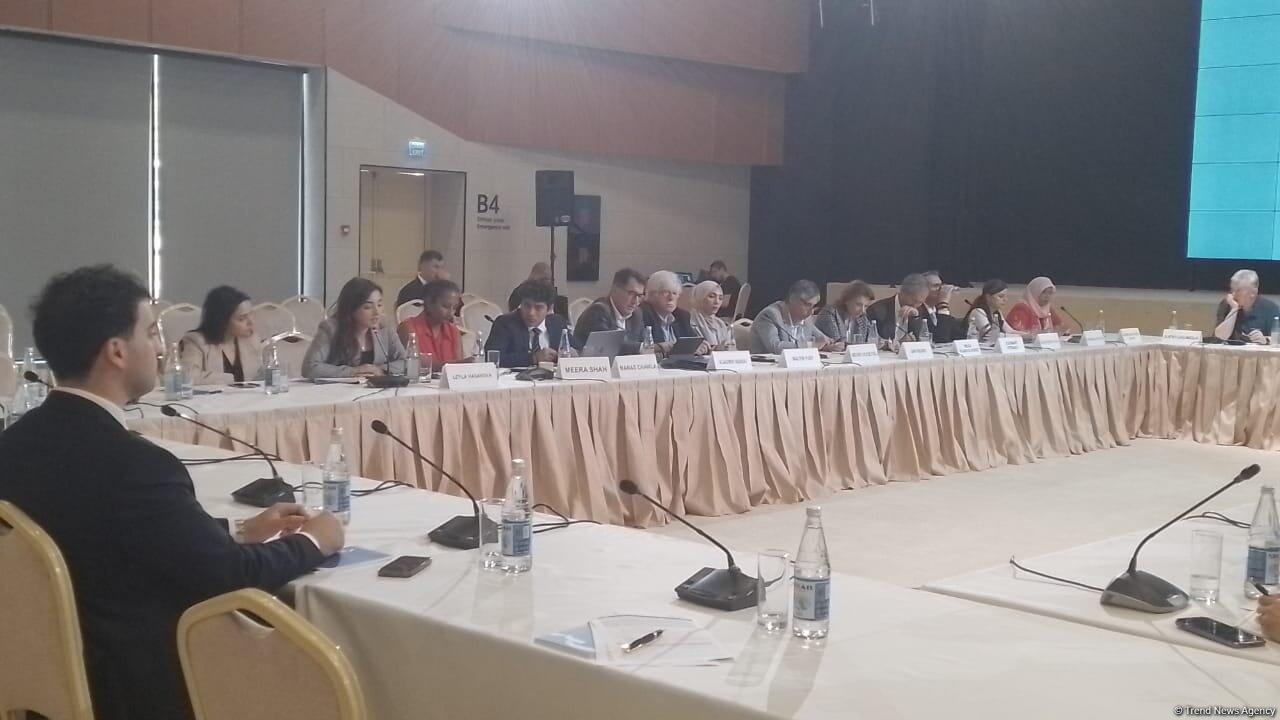 Zəngilanda "COP29-a aparan yol: Dayanıqlı və davamlı gələcək" mövzusunda toplantı başa çatıb