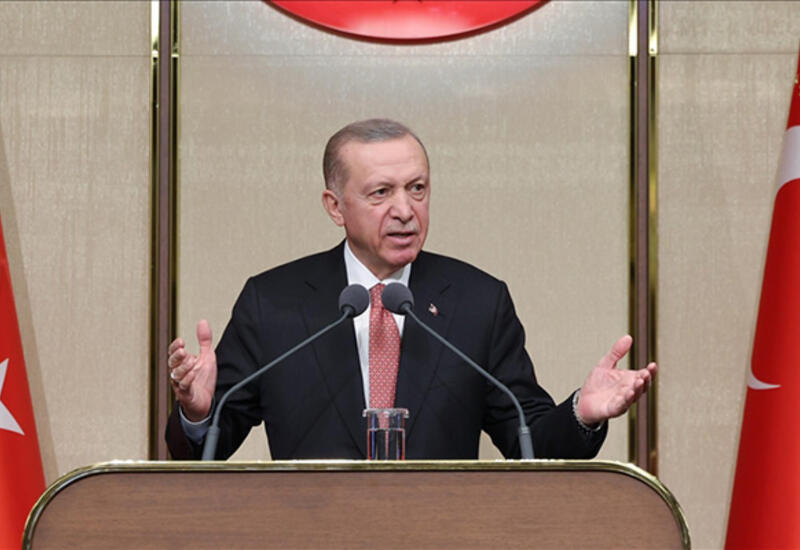 Ərdoğandan “bozqurd”la bağlı cəzaya
