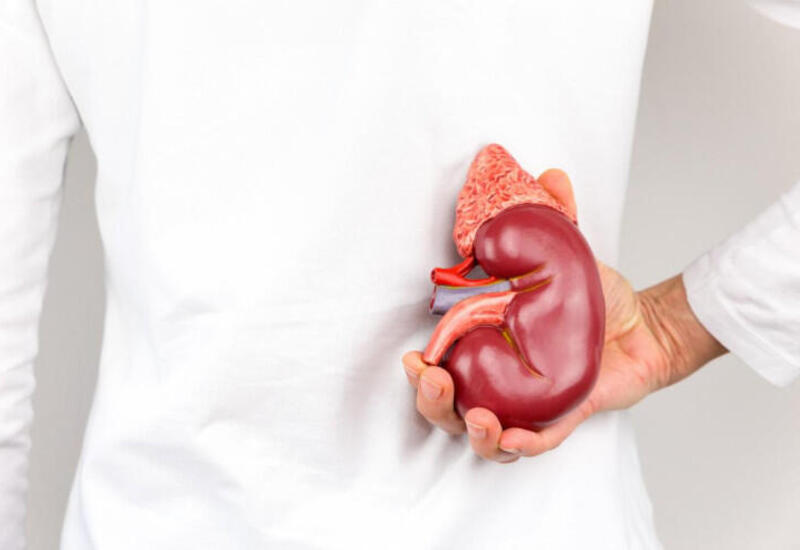 Böyrək xəstəliyinizi arıqlama dərmanı ilə