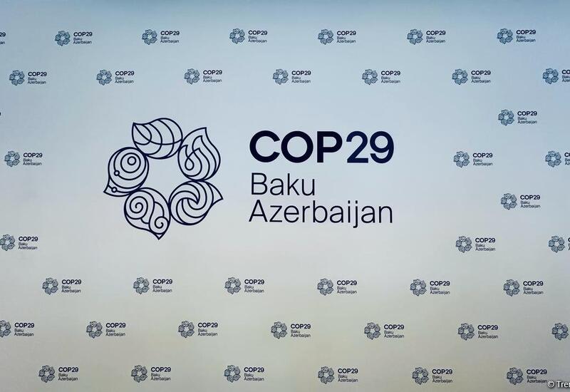 Представитель Совета сотрудничества стран Персидского залива о значимости COP29