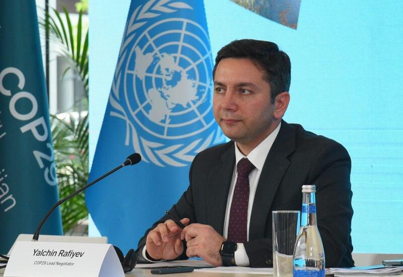 Главный переговорщик о ходе подготовки к COP29
