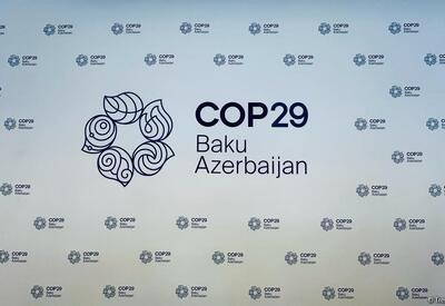 COP29 может способствовать &quot;отказу от вражды&quot; в мире - ВЗГЛЯД ИЗ ТУРЦИИ