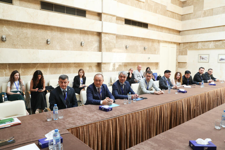 Мазахир Панахов встретился с членами ЦИК ряда стран