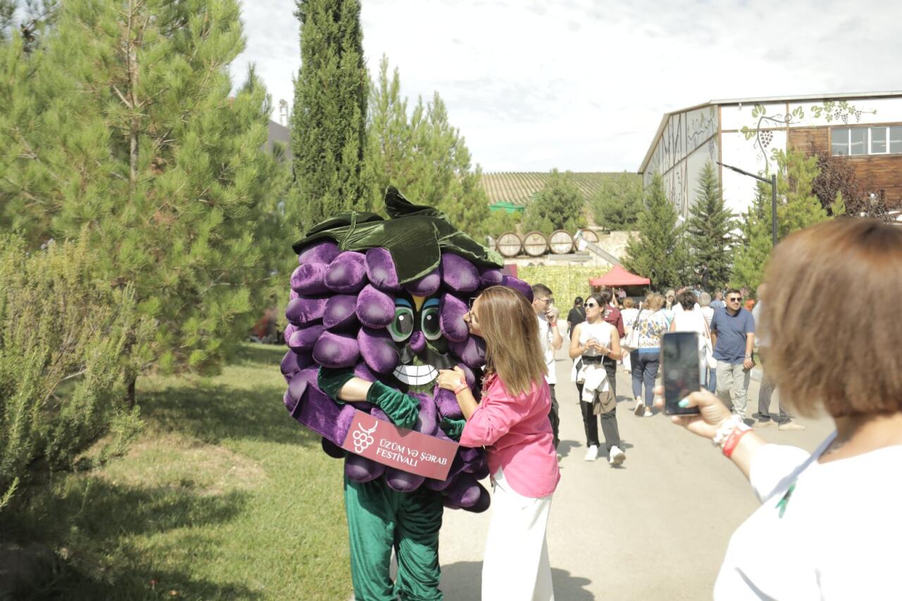Фестиваль винограда и вина в Шамахы