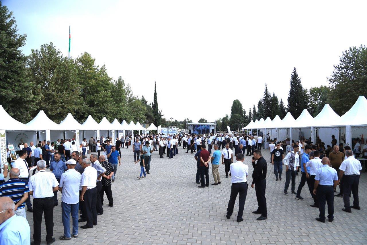 Masallıda “KOB FEST” sərgi-satış yarmarkası keçirilir