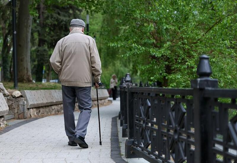 Открыт новый способ борьбы с болезнью Альцгеймера