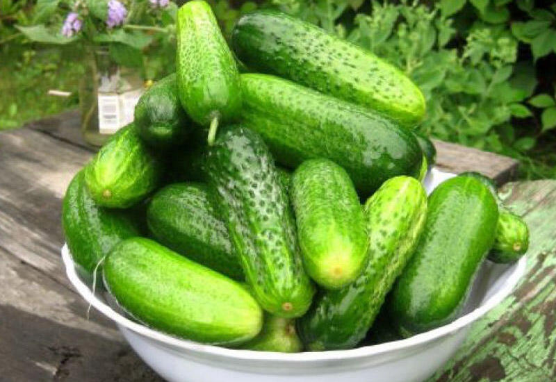 96 faizi sudan ibarət olan xiyarın inanılmaz faydaları